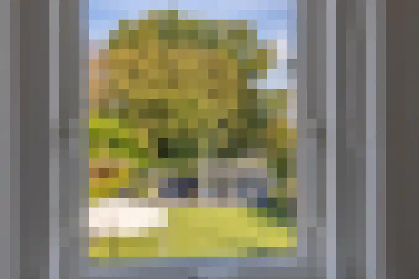 Middelburgsestraat 75 Koudekerke thumbnail 59