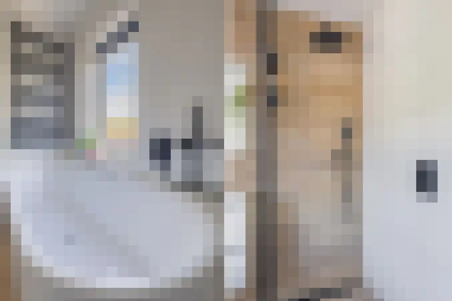 Middelburgsestraat 75 Koudekerke thumbnail 65