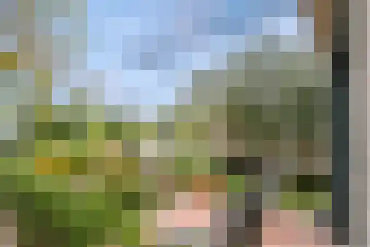 Middelburgseweg 1 A 2 Waddinxveen thumbnail 17