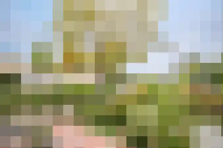 Middelburgseweg 1 A 2 Waddinxveen thumbnail 18