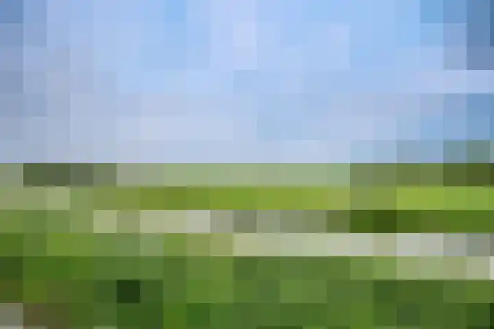 Middelburgseweg 1 A 2 Waddinxveen thumbnail 22