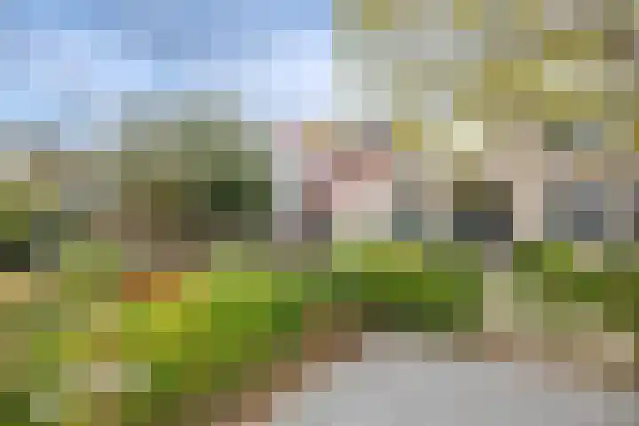 Middelburgseweg 1 A 2 Waddinxveen thumbnail 26