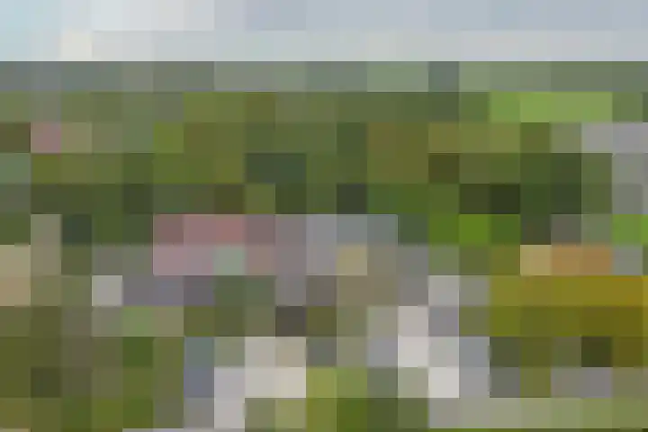 Middelburgseweg 1 A 2 Waddinxveen thumbnail 33