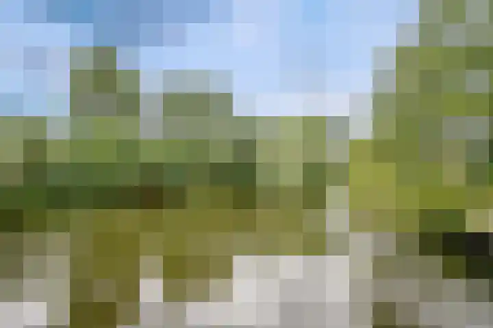 Middelburgseweg 1 A 2 Waddinxveen thumbnail 8