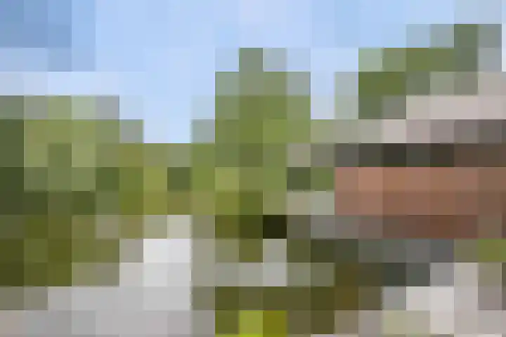 Middelburgseweg 1 A 2 Waddinxveen thumbnail 9