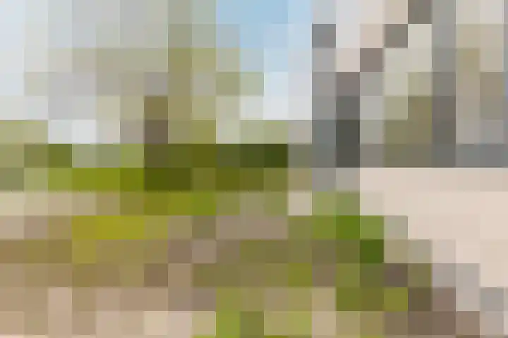 Middelburgseweg 1 A 7 Waddinxveen thumbnail 19