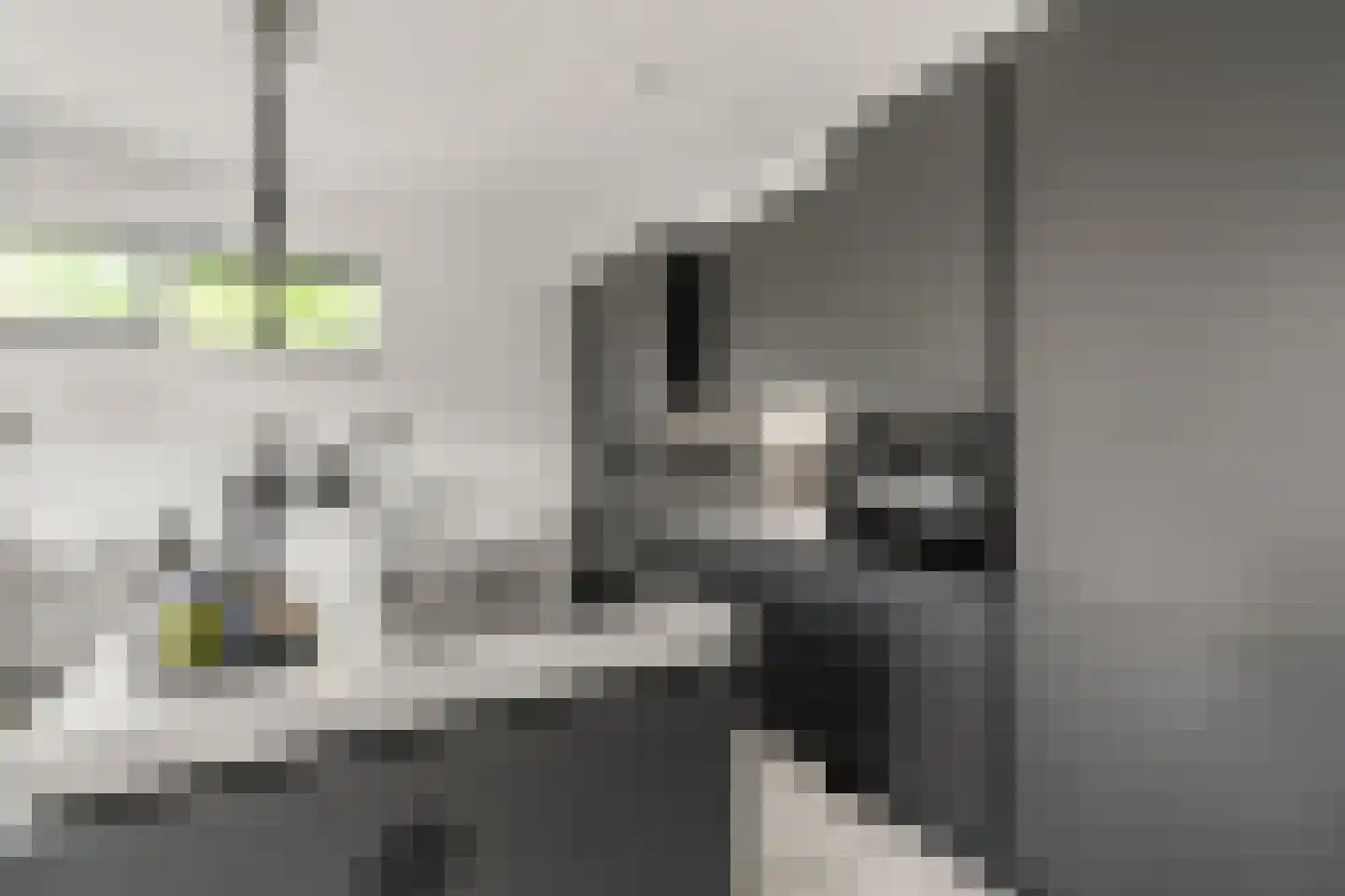 Middelburgseweg 1 A 8 Waddinxveen thumbnail 18