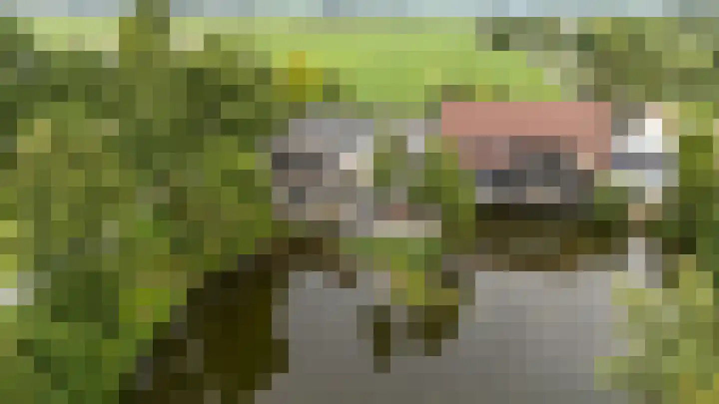Middelburgseweg 1 A 8 Waddinxveen thumbnail 23