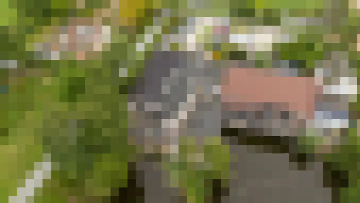 Middelburgseweg 1 A 8 Waddinxveen thumbnail 37