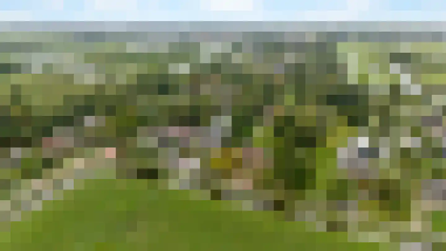 Middelburgseweg 1 A 8 Waddinxveen thumbnail 38