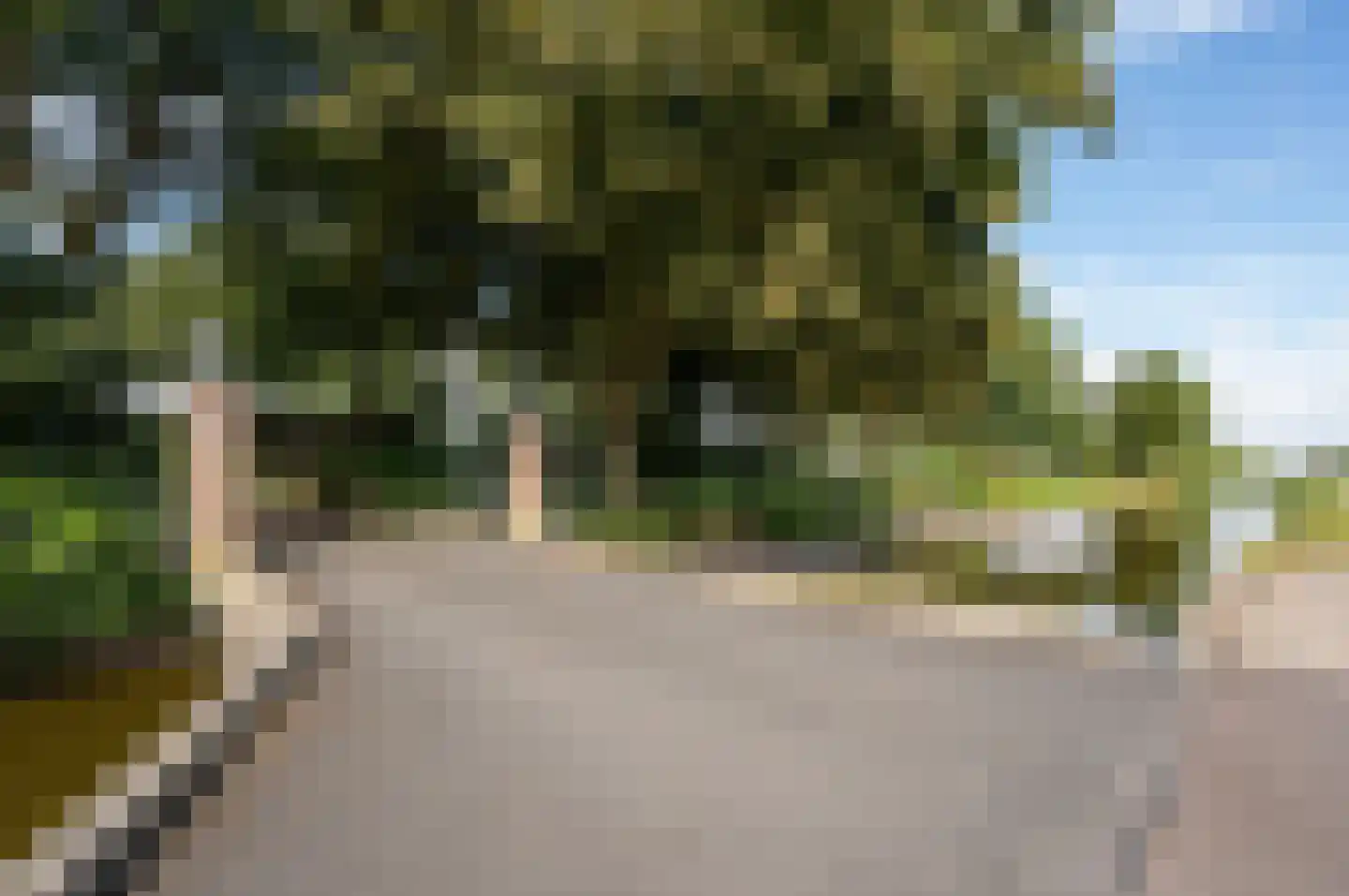 Middelburgseweg 109 Boskoop thumbnail 6