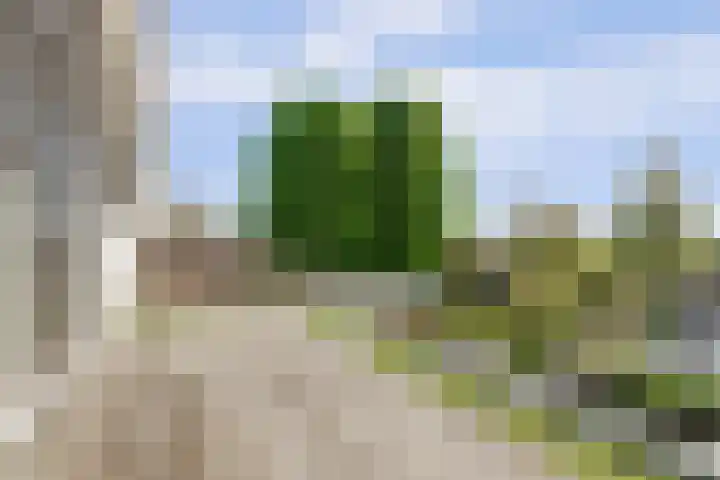 Middelburgseweg 12 Reeuwijk thumbnail 23