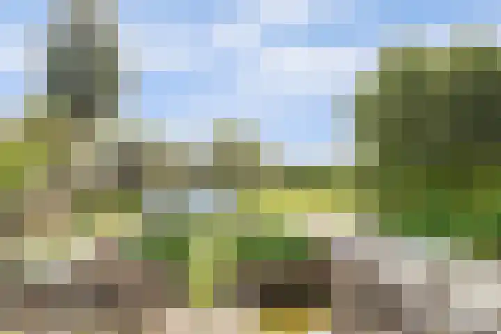 Middelburgseweg 12 Reeuwijk thumbnail 41
