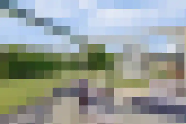Middelburgseweg 12 Reeuwijk thumbnail 47