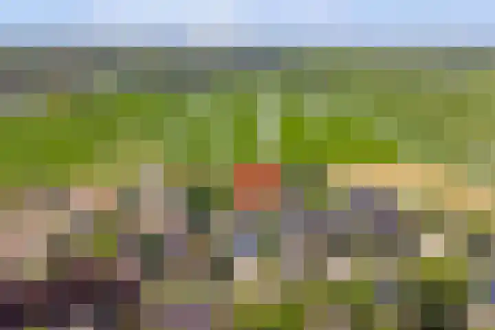 Middelburgseweg 12 Reeuwijk thumbnail 56
