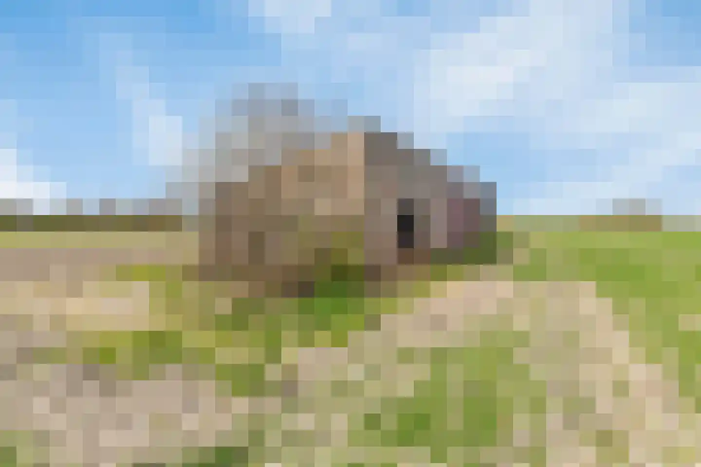 Middelburgseweg 13 Grijpskerke thumbnail 29