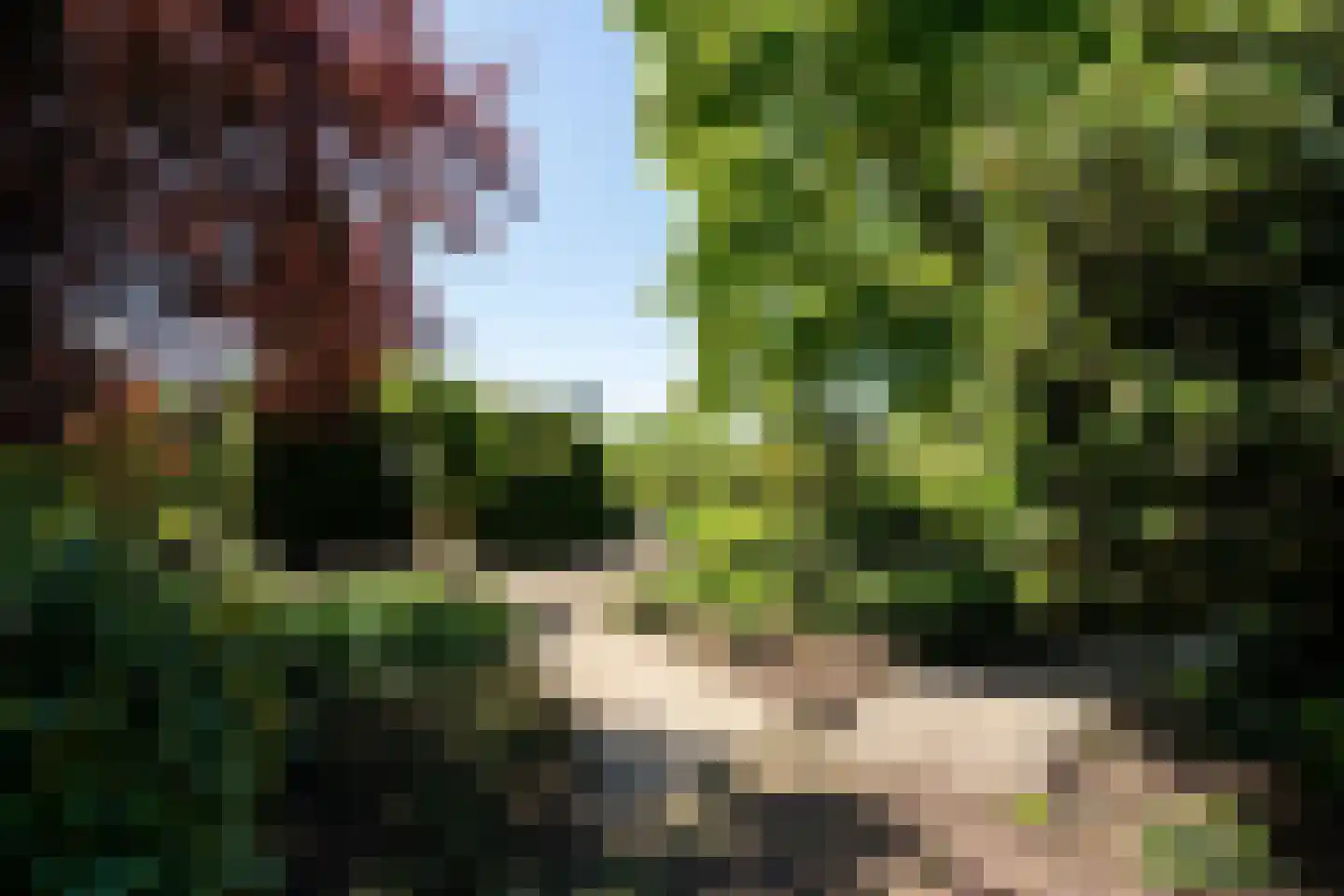 Middelburgseweg 73 Boskoop thumbnail 56