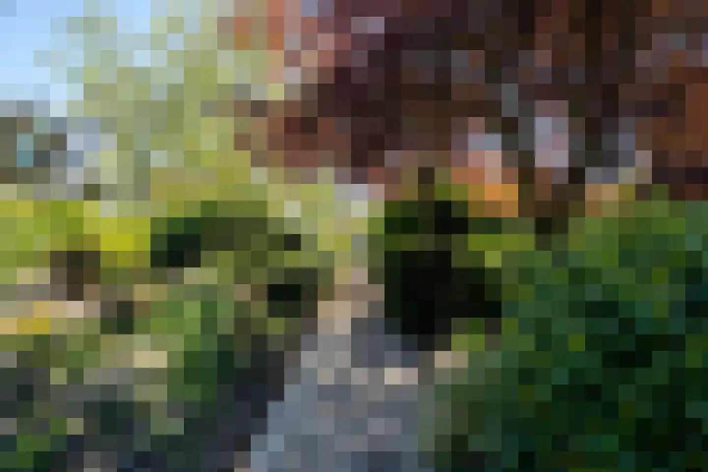 Middelburgseweg 73 Boskoop thumbnail 59