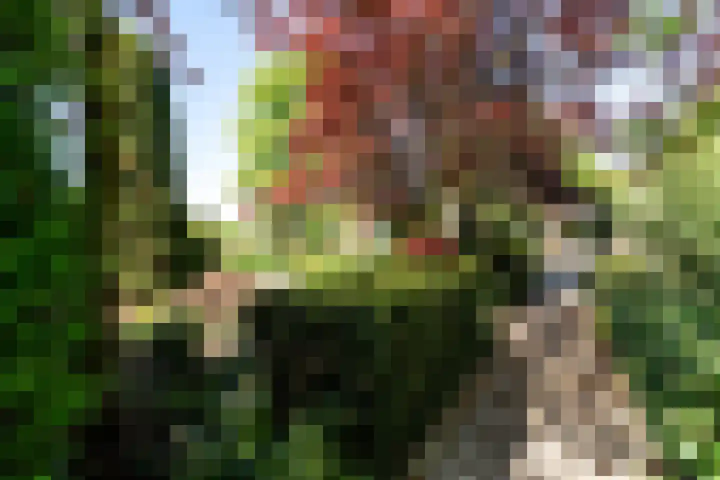Middelburgseweg 73 Boskoop thumbnail 60