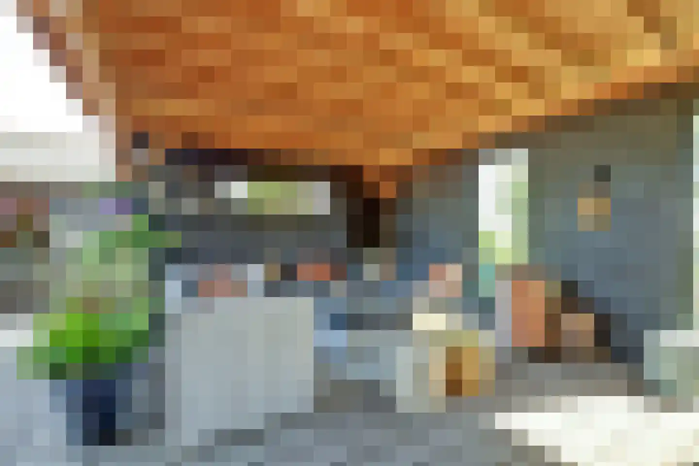 Middelburgseweg 75 Boskoop thumbnail 42