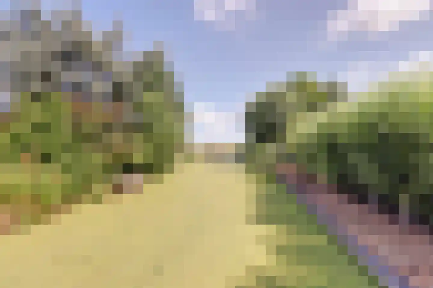 Middelburgseweg 75 Boskoop thumbnail 50