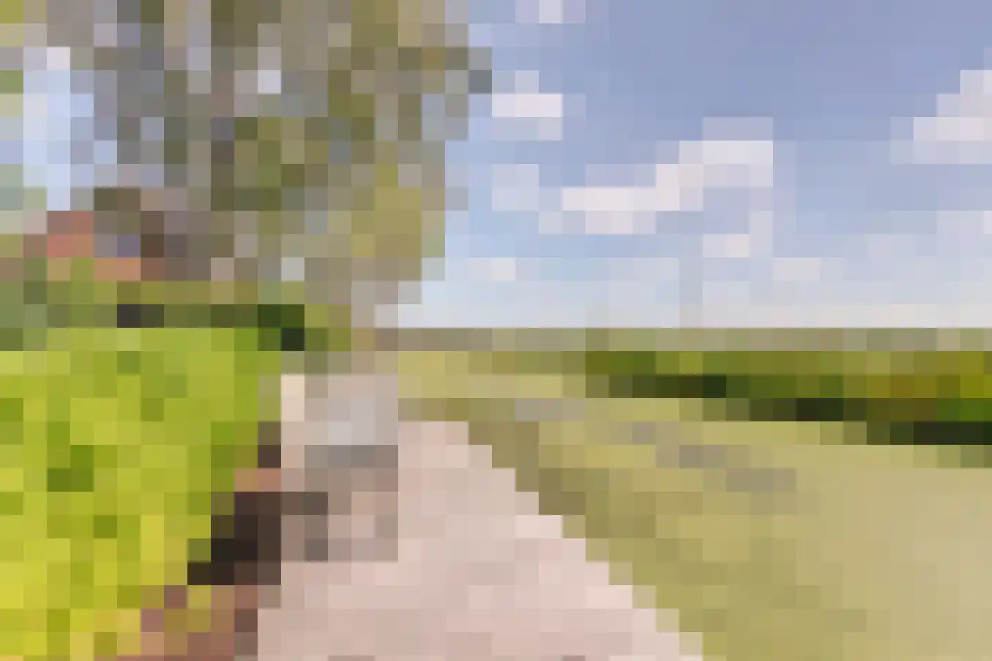 Middelburgseweg 75 Boskoop thumbnail 61