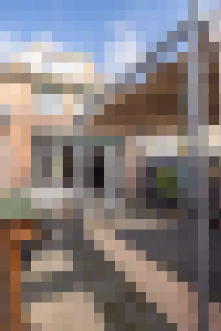 Middelburgstraat 8 Heerlen thumbnail 37