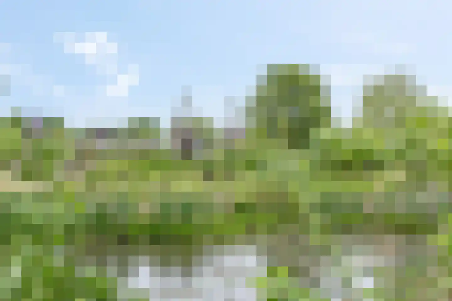 Middelcoopstraat 5 Culemborg thumbnail 34