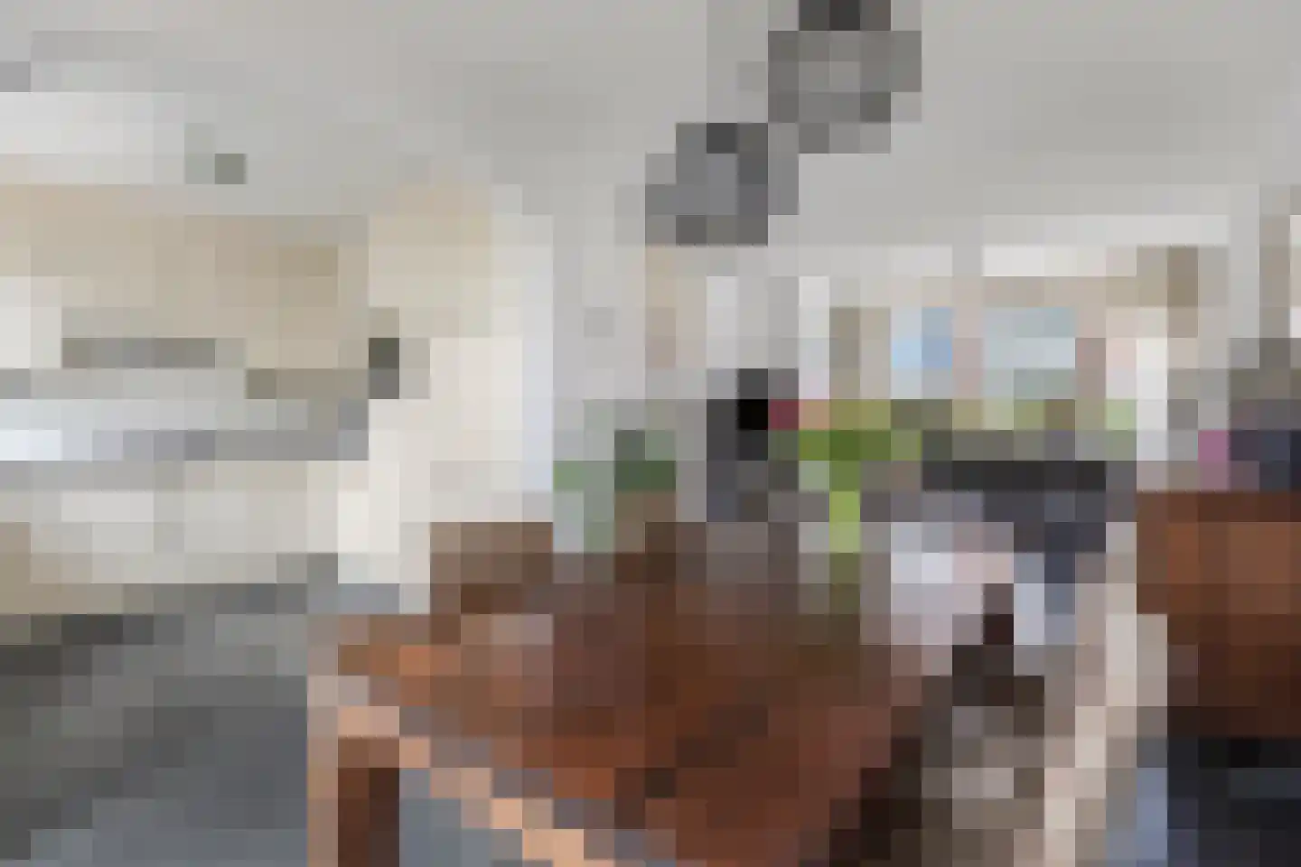 Middelcoopstraat 5 Culemborg thumbnail 8