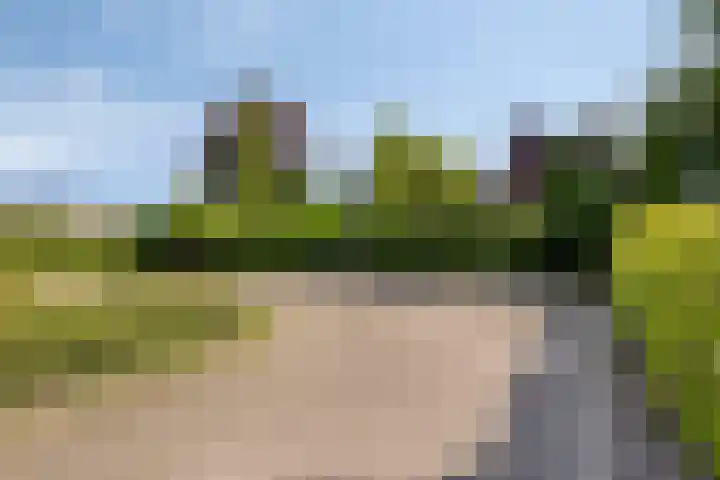 Middelcoopstraat 9 Culemborg thumbnail 33