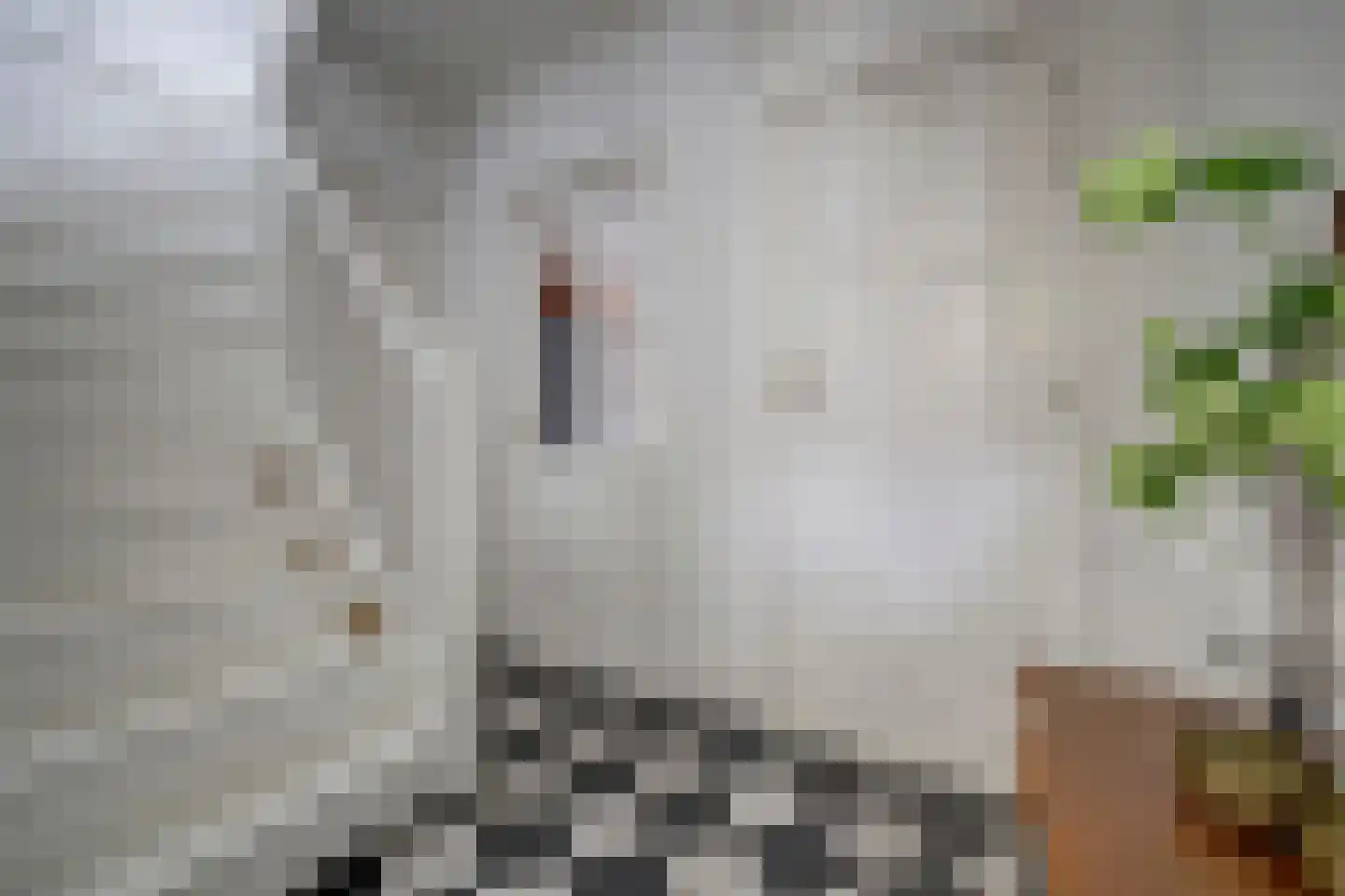 Middeldiepstraat 2 Sliedrecht thumbnail 10