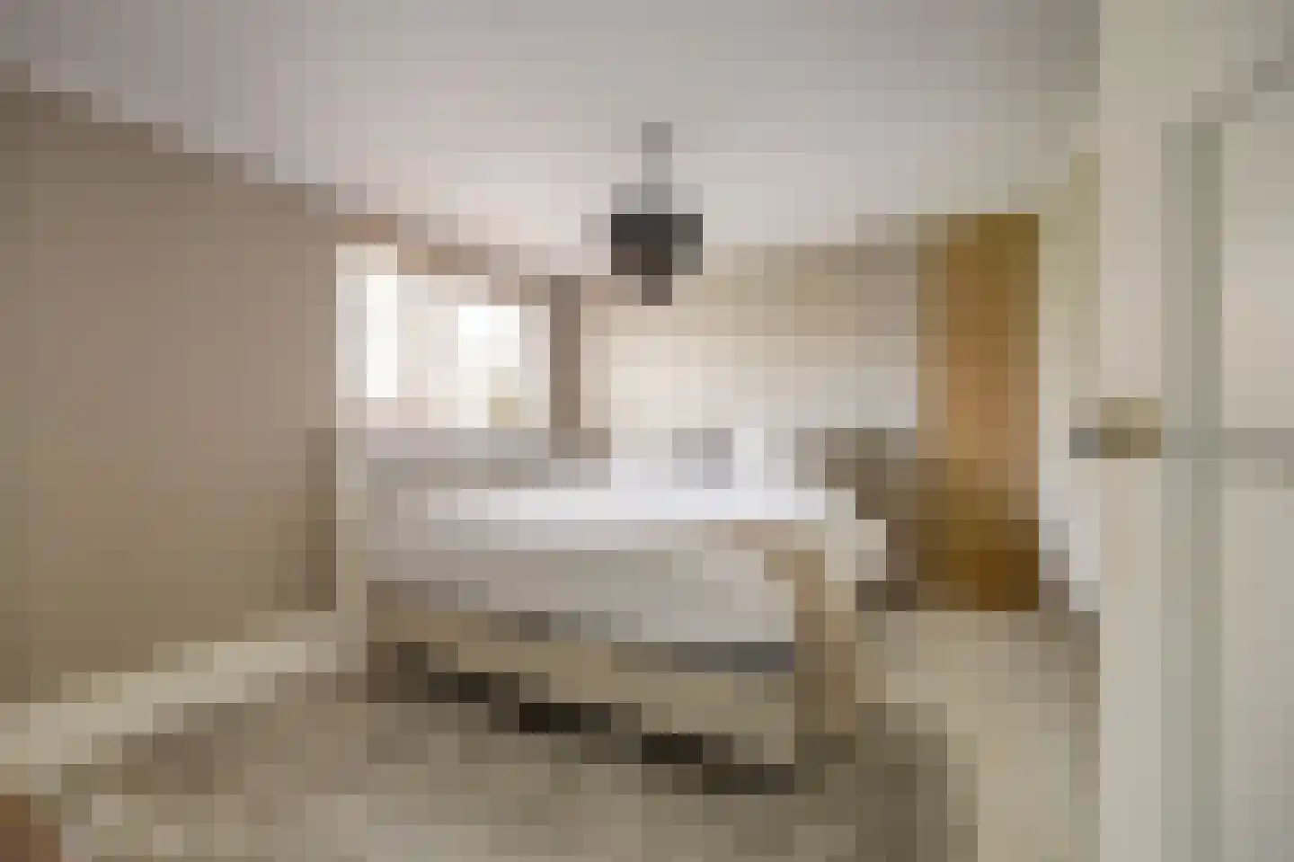 Middeldiepstraat 2 Sliedrecht thumbnail 29