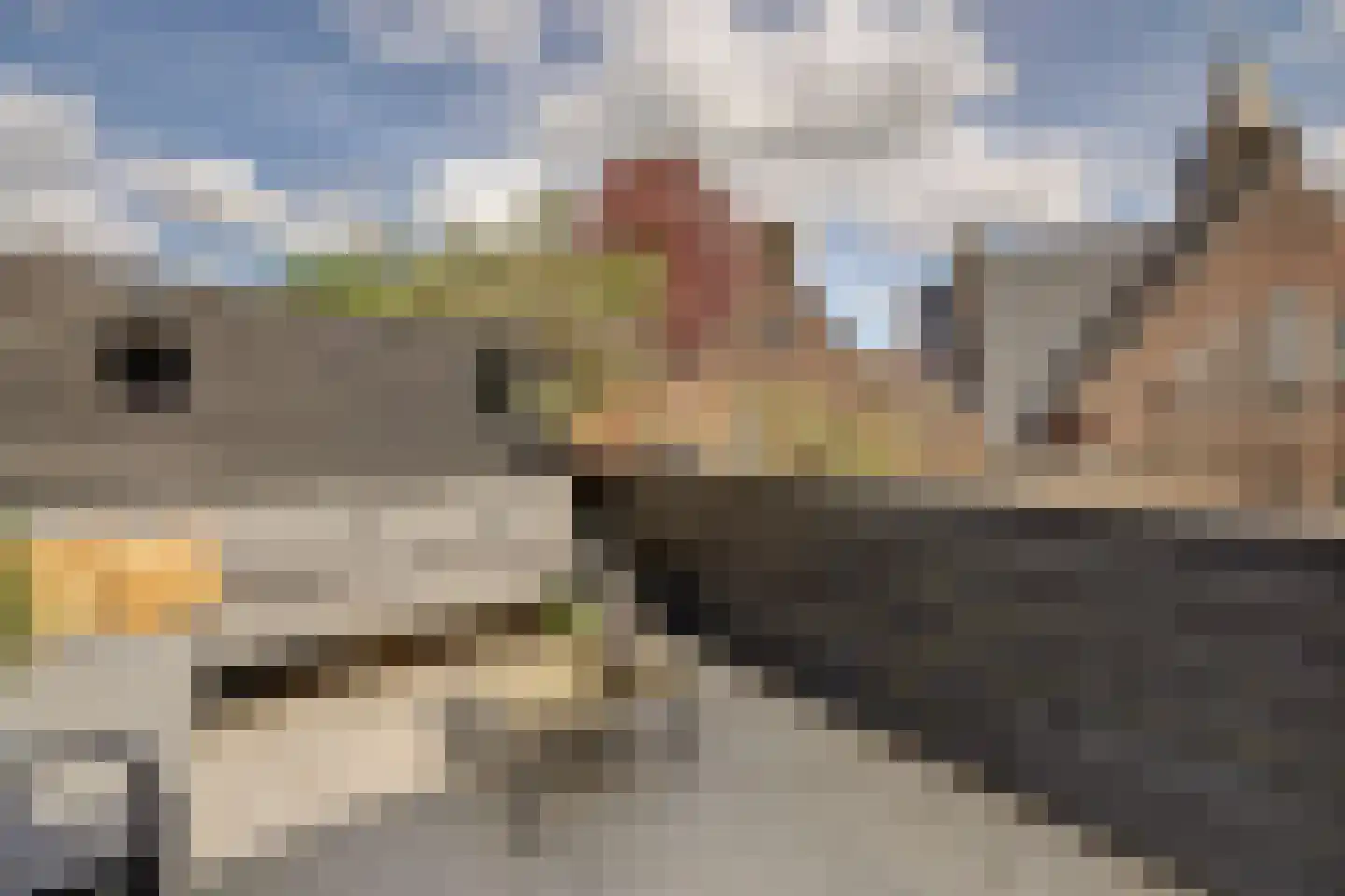 Middeldiepstraat 2 Sliedrecht thumbnail 57