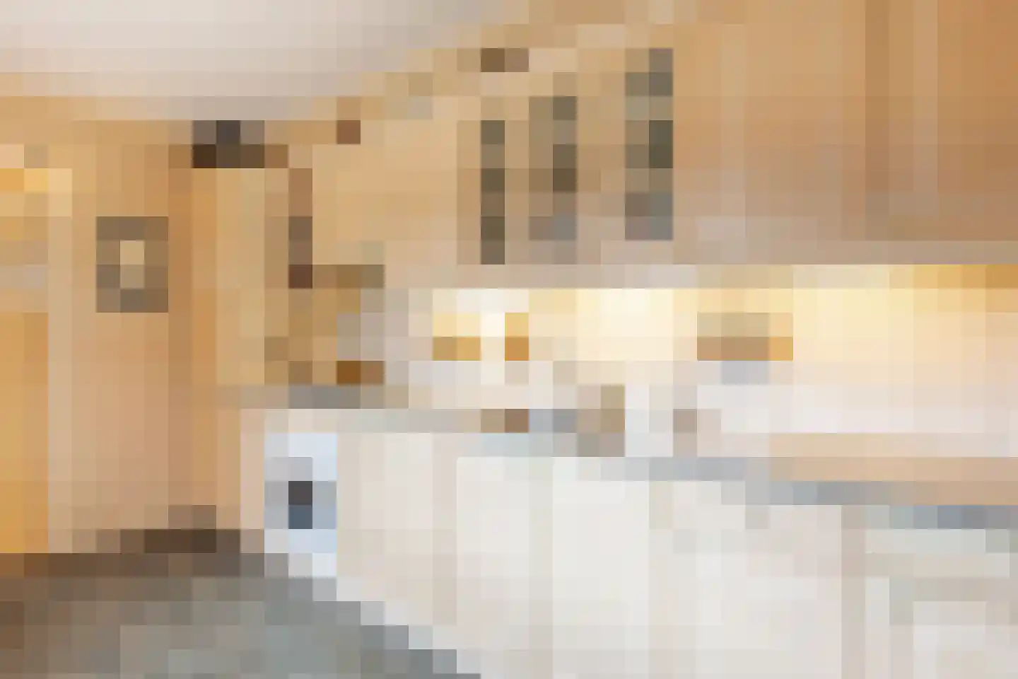 Middeldiepstraat 59 Sliedrecht thumbnail 12