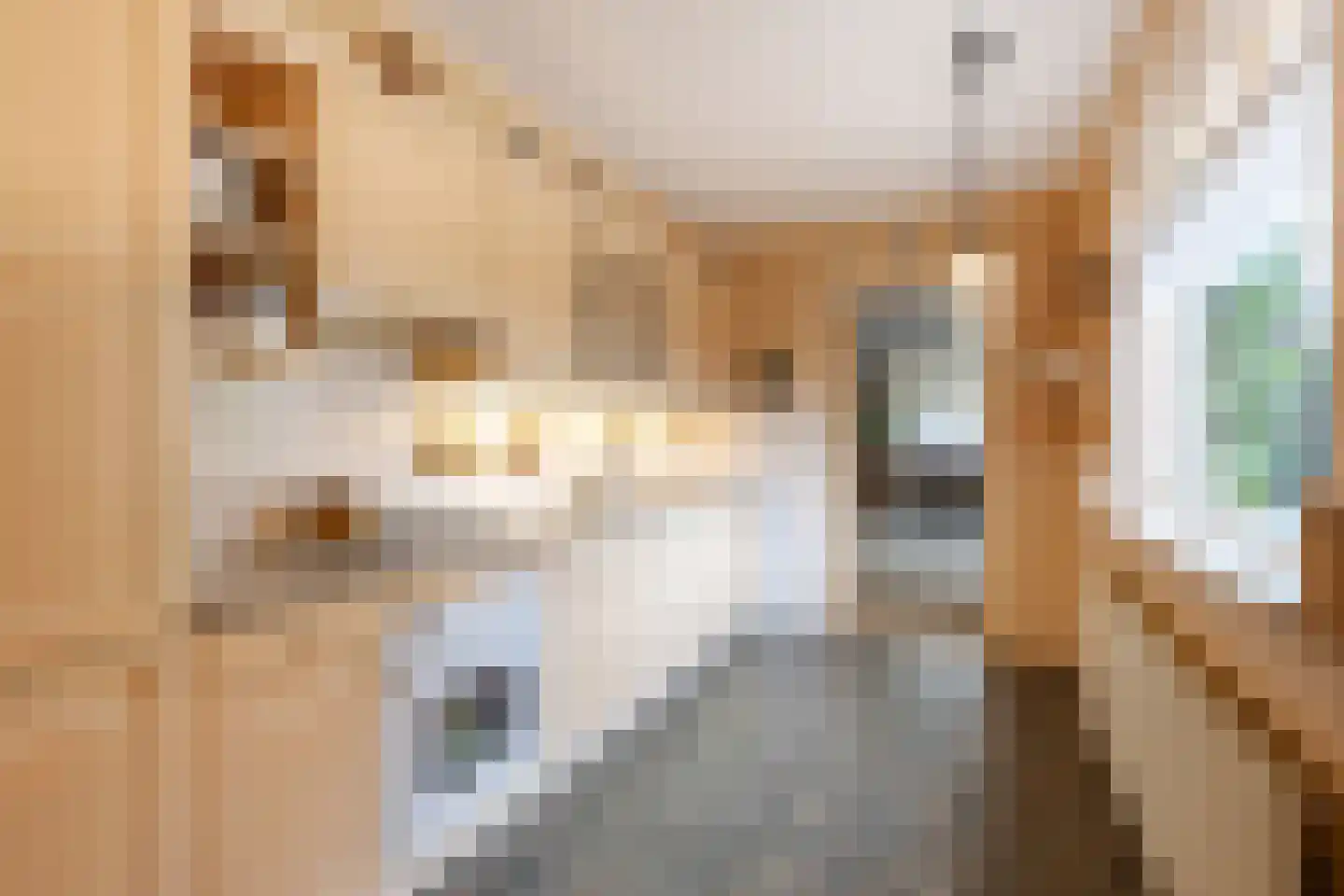 Middeldiepstraat 59 Sliedrecht thumbnail 13