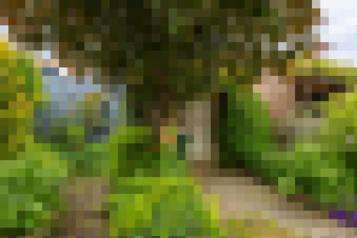 Middeldiepstraat 59 Sliedrecht thumbnail 5