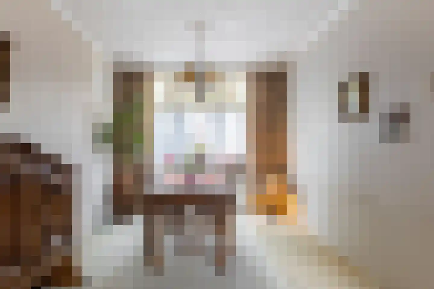 Middeldiepstraat 59 Sliedrecht thumbnail 9