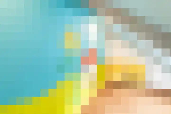 Middeldijk 1 Rockanje thumbnail 38