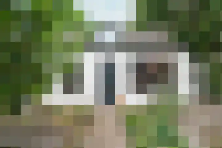Middeldijk 1 Rockanje thumbnail 56