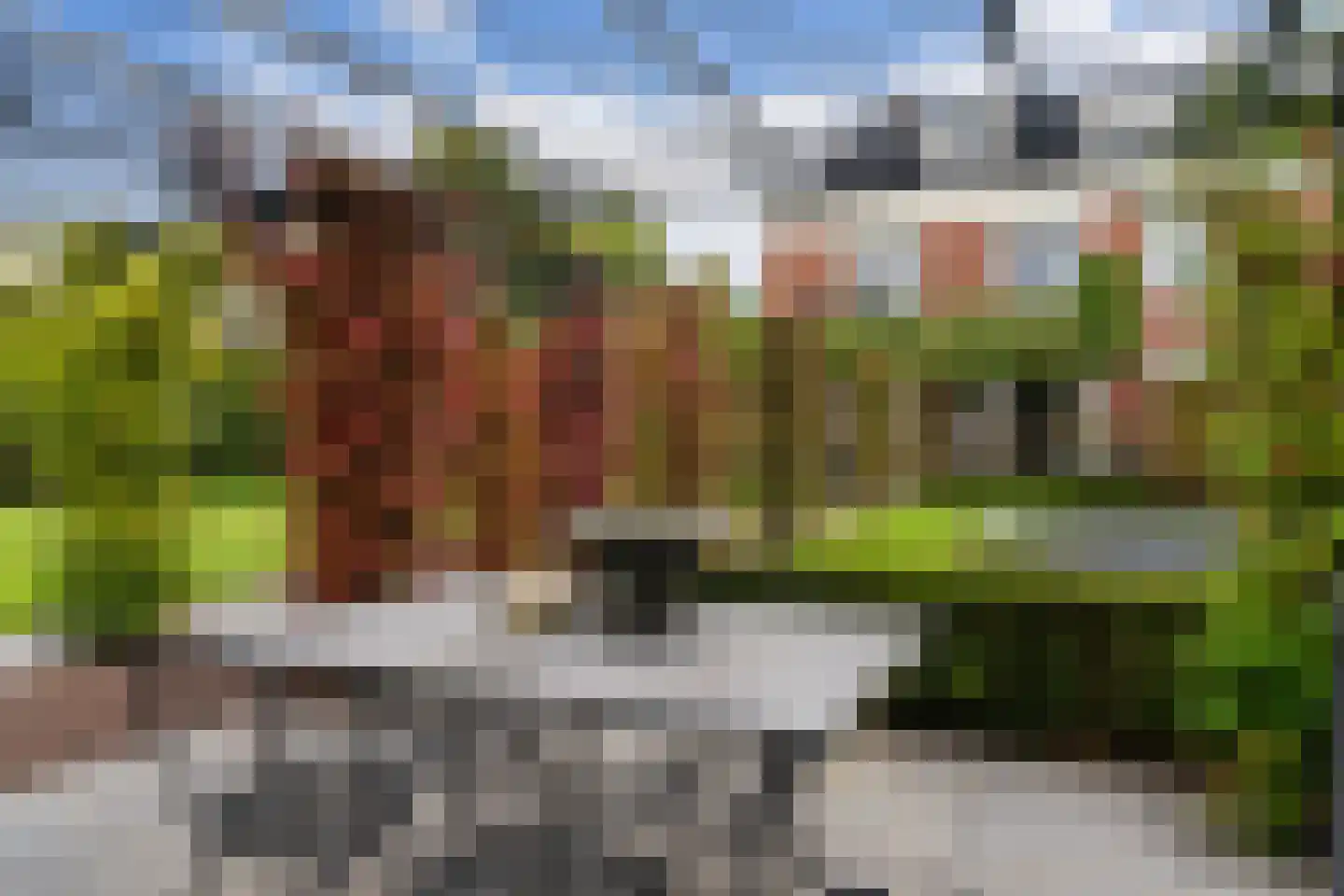 Middeldijk 21 Barendrecht thumbnail 36
