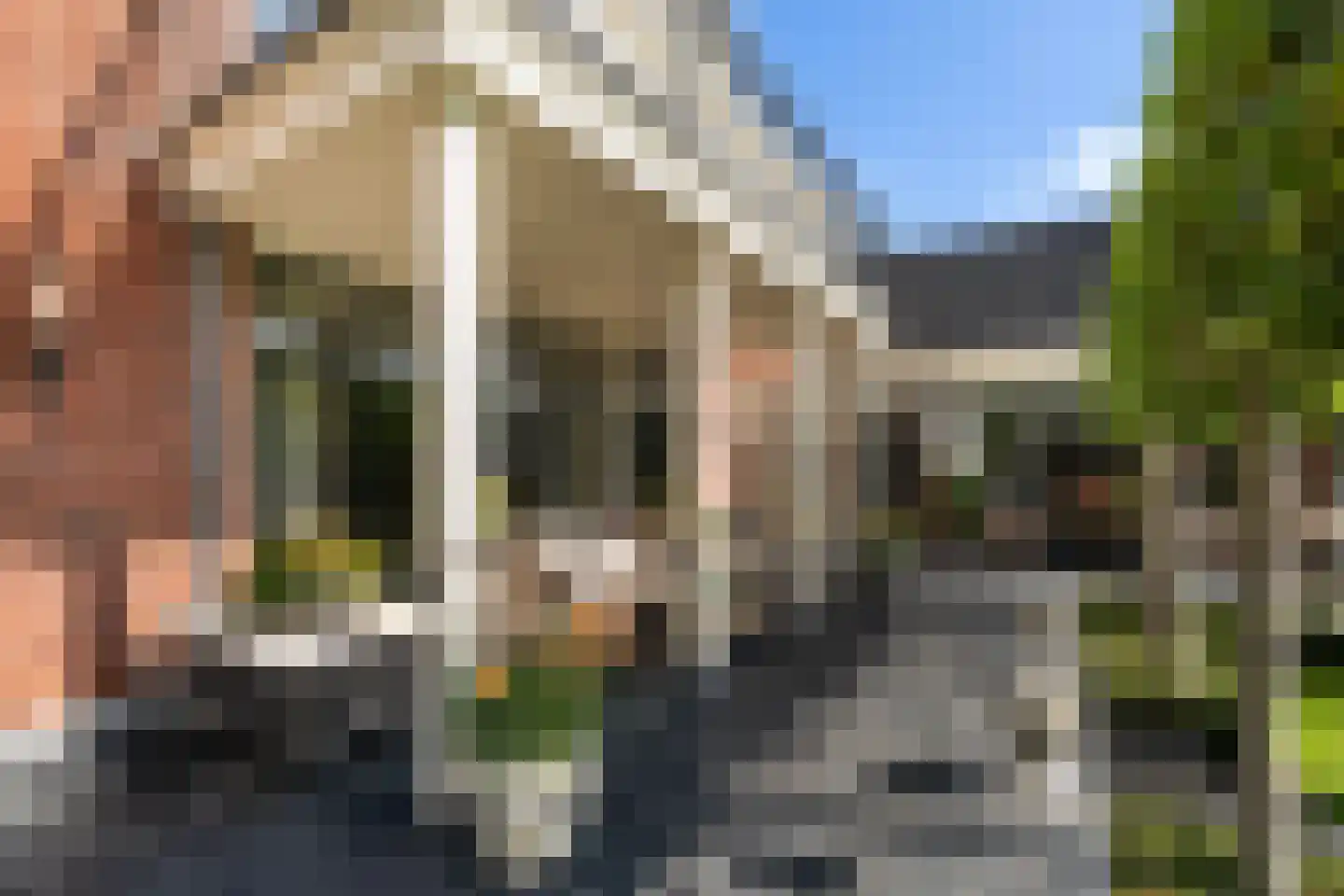 Middeldijk 21 Barendrecht thumbnail 37