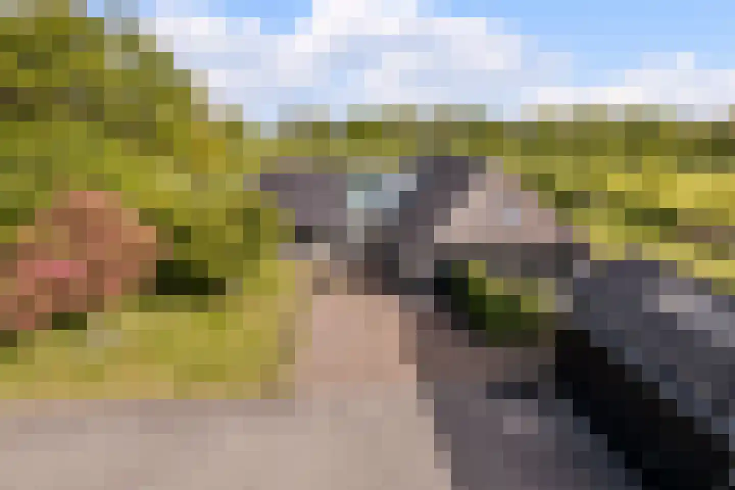 Middeldijk 21 Dalfsen thumbnail 5