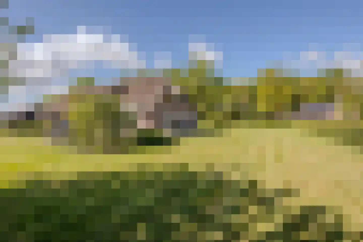 Middeldijk 21 Dalfsen thumbnail 65