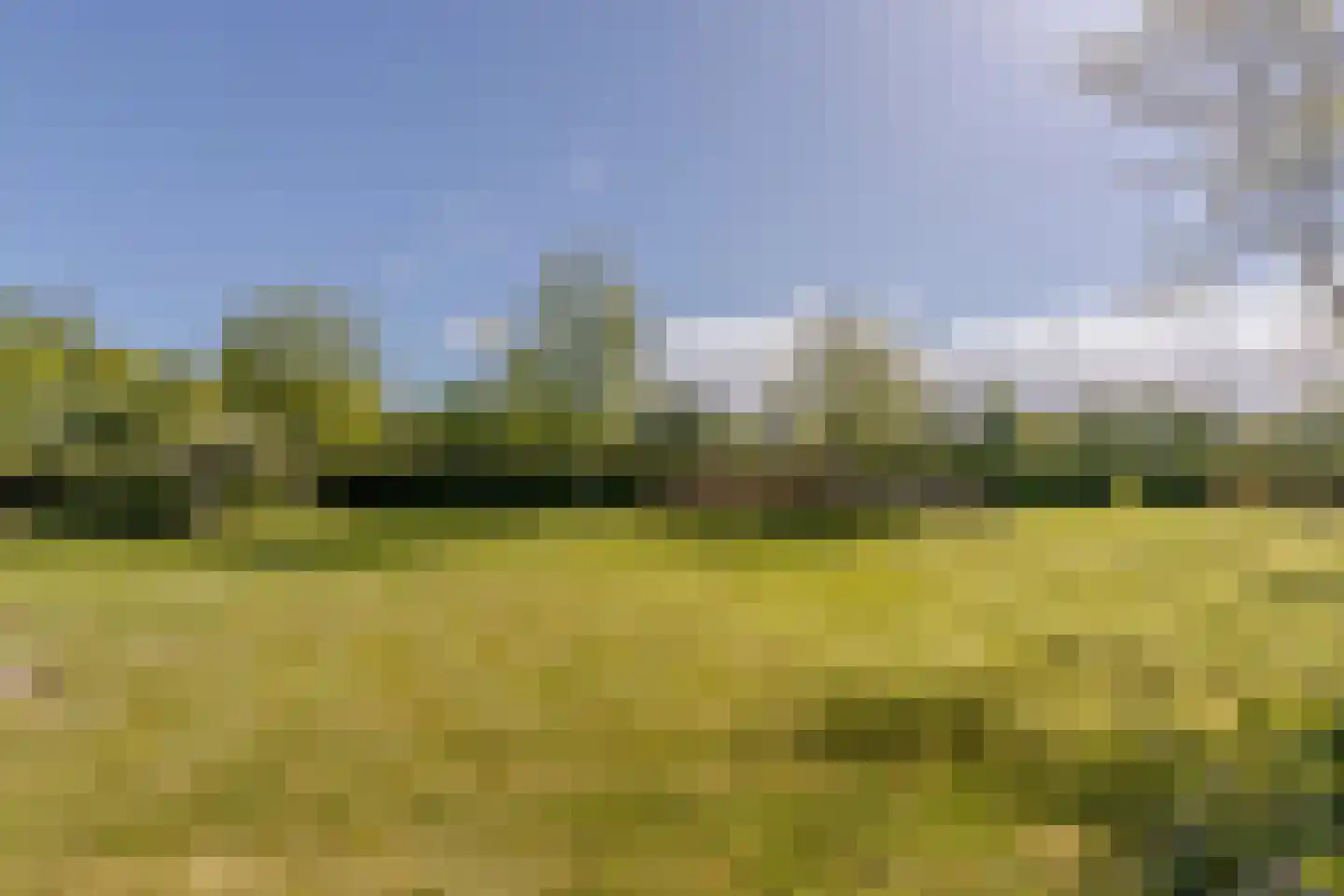 Middeldijk 21 Dalfsen thumbnail 68