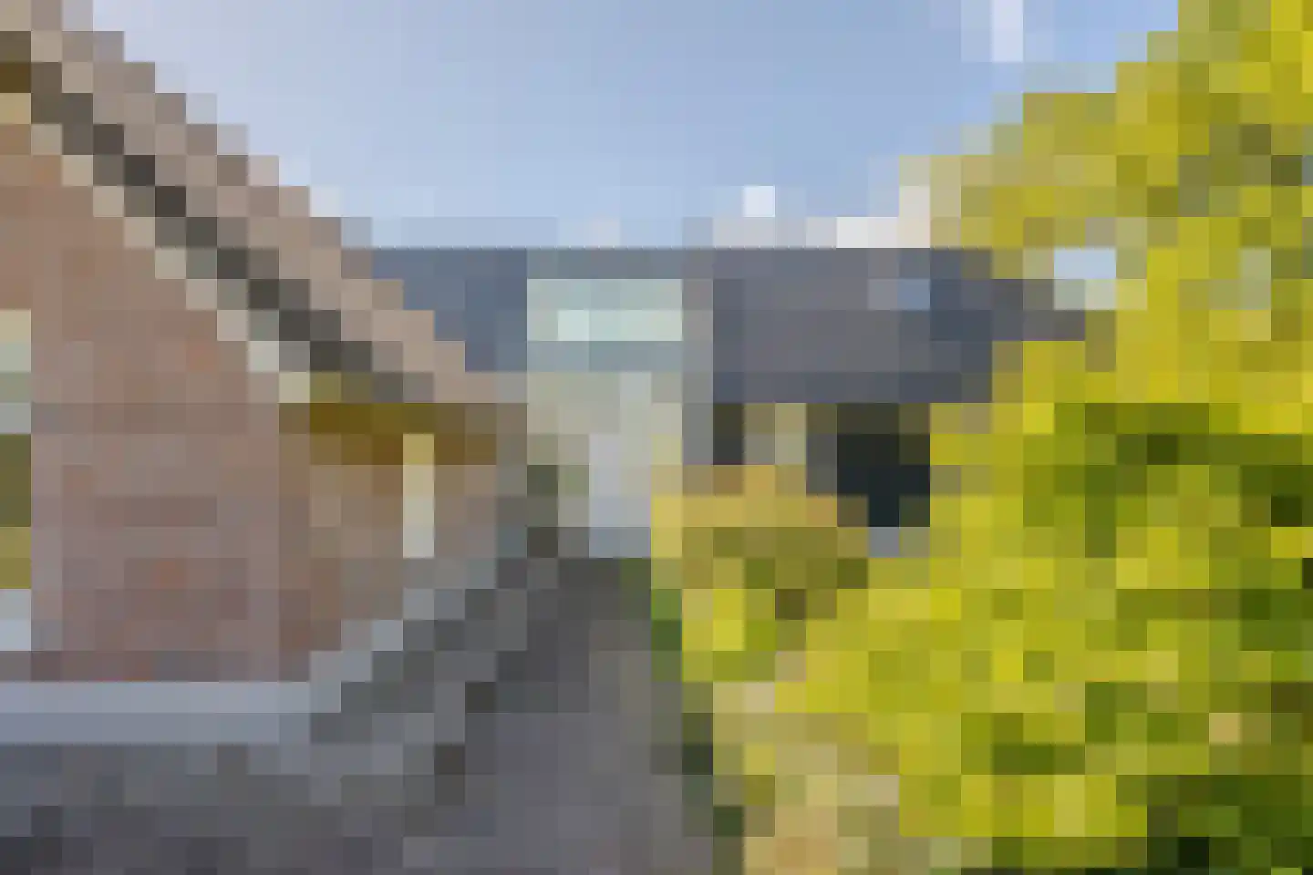 Middeldijk 21 Dalfsen thumbnail 7