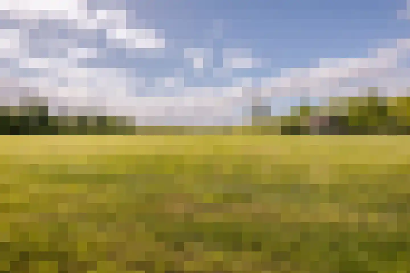 Middeldijk 21 Dalfsen thumbnail 86