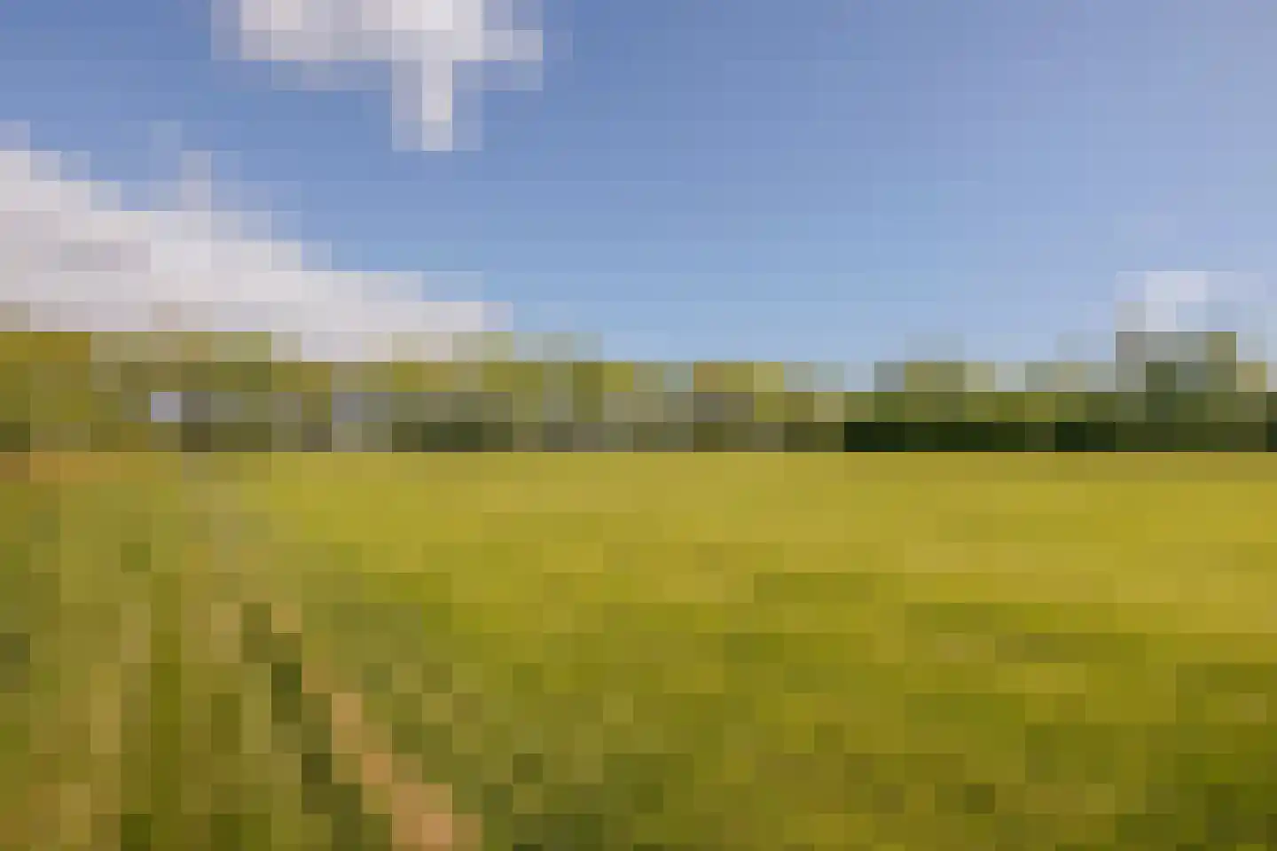 Middeldijk 21 Dalfsen thumbnail 88