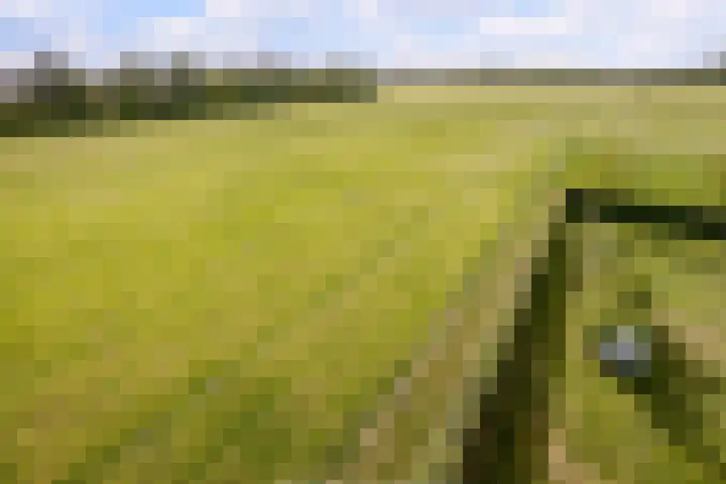 Middeldijk 21 Dalfsen thumbnail 91