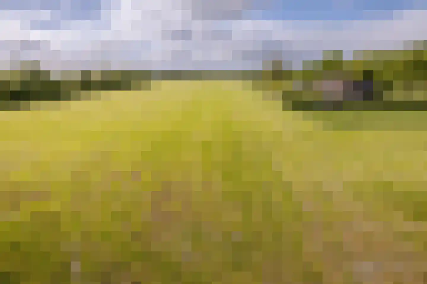 Middeldijk 21 Dalfsen thumbnail 92