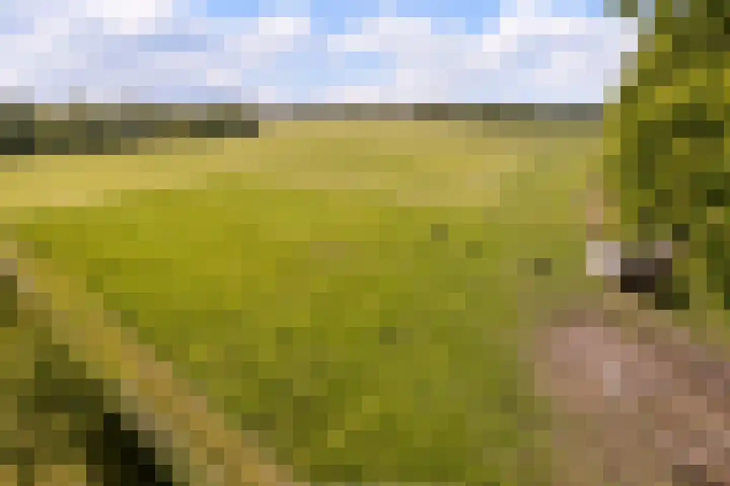 Middeldijk 21 Dalfsen thumbnail 93